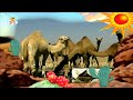 The Amazing World Desert