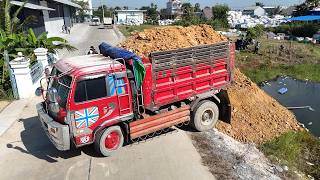 Download lagu Nicely Process Tasks!! Great Dump Trucks 5 Ton Drop soil and push fill by Dozer KOMATSU mp3