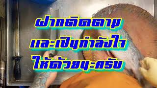 มาทำกระพงหั่นเป็นชิ้นครับ สำหรับคนกินทุนน้อย ที่ไม่มีกำลังซื้อเป็นตัว😊🙏