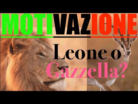 Video Motivazionale   Eric Thomas   Il Leone e la Gazzella by #attitudinepositiva