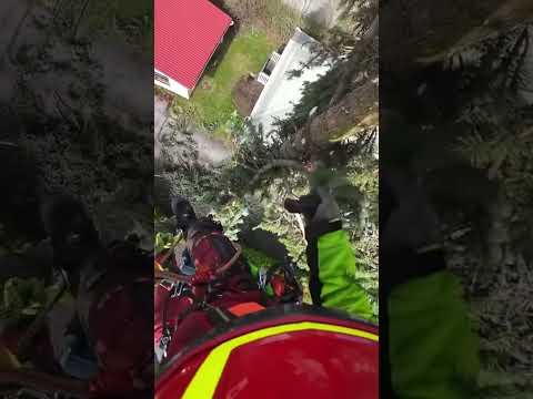 Personne n’osez monté pour ce chantier ! #paysagiste #jardin #anecdote #france