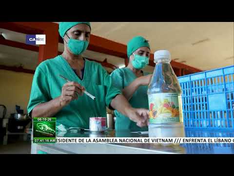 Cooperativa de Güira de Melena apuesta por transformaciones en Cuba