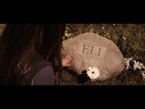 Metalrus - Умрём живыми (Гевал vocal cover)