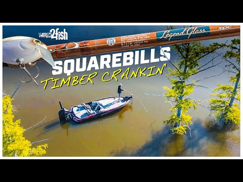 How to Fish Upsized Squarebill Crankbaits Around Wood