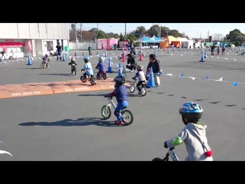 20151128 SUZUKA S-1 GP 障害物 3歳予選 IK途中まで