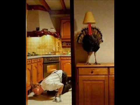download lagu mp3 mp4 Bob And Tom Deep Fried Turkey, download lagu Bob And Tom Deep Fried Turkey gratis, unduh video klip Bob And Tom Deep Fried Turkey