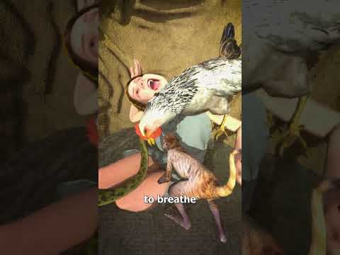 Horrifying Sack Punishment 😨