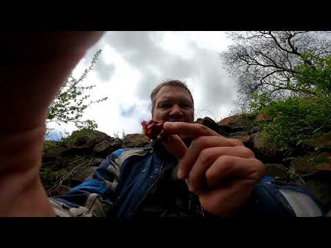 Kaukasus Calling, Armenien, Kloster Geghard + Kloster Chor Virap 09.05.2022