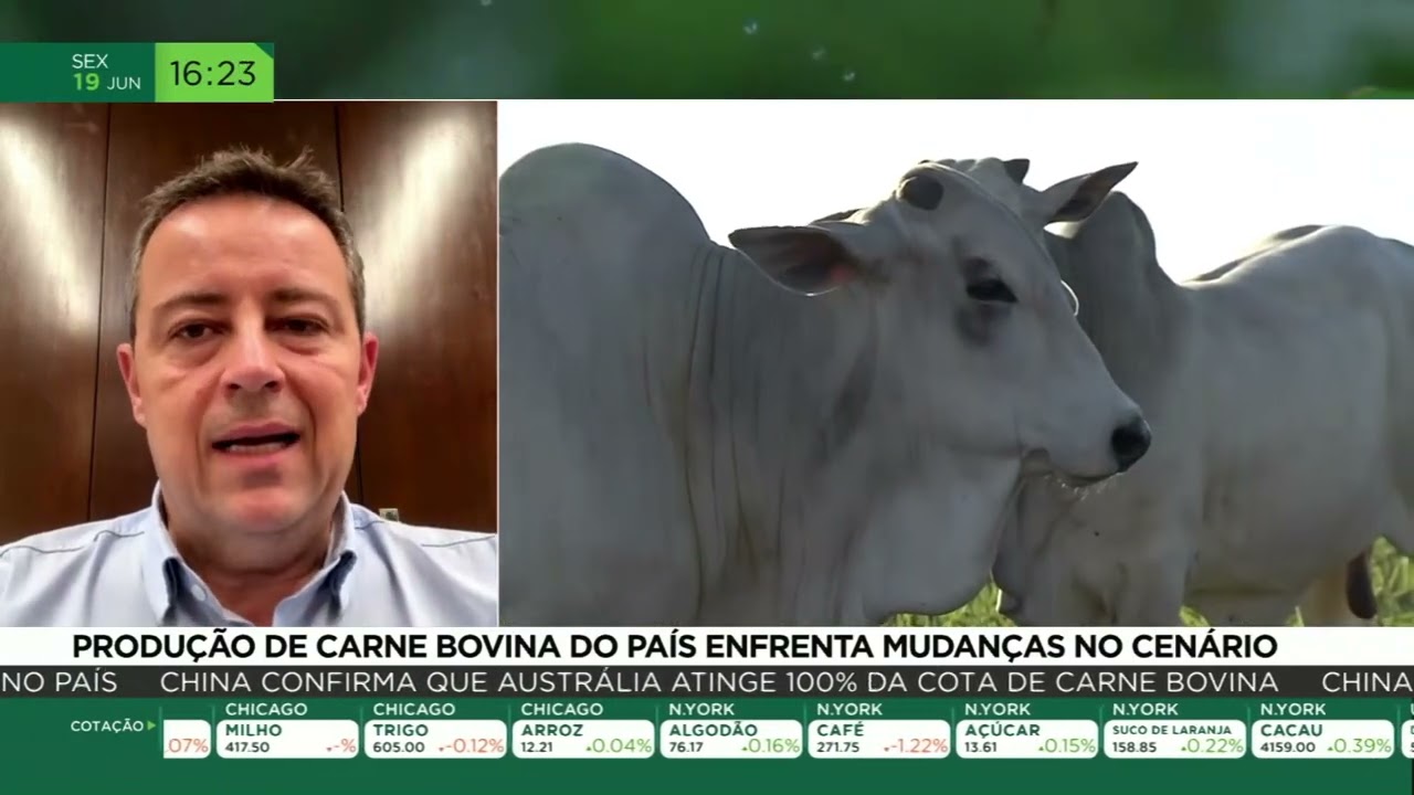 Produção de carne bovina do país enfrenta mudanças no cenário