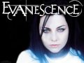 Evanescence - Litium 