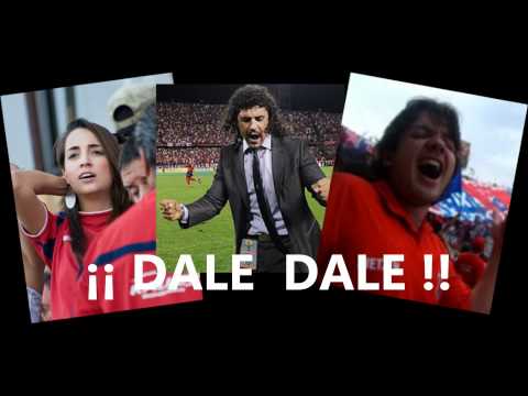 Dale Campeón video