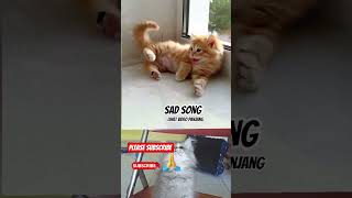 Download lagu #shortmusic #musik #music #lagu #sadsong #lovesong #shortmusik mp3