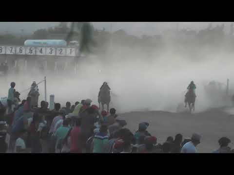 ALTANERO  - Club Hípico Catriel- 21-02-2021