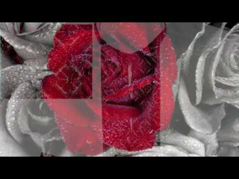 download lagu mp3 mp4 Gerello, download lagu Gerello gratis, unduh video klip Gerello