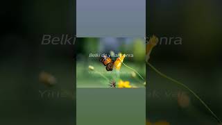 Manuş Baba- Aşkın Kederi🍁Belki de yıllar sonra...