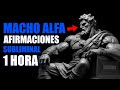 AFIRMACIONES PARA CONVERTIRSE EN UN MACHO ALFA - Sr. Lobo Subliminal 🦁