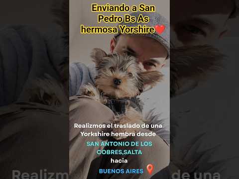 Envío de Salta-San Antonio de los cobres a San Pedro Bs As. BulldogSalta enviando amor ❤️. Suscriban
