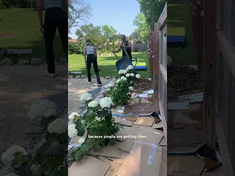 Part 4 of my Cottage Pea Gravel Patio 🤩 #cottagestyle #peagravel #diypatio #diy #homeprojects
