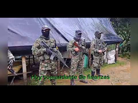 EL CORRIDO DEL GATO-FERNEY FLOREZ