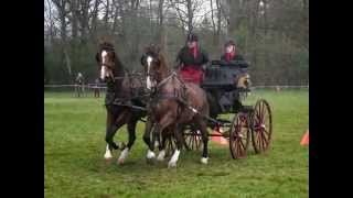 preview picture of video 'Paarden Menwedstrijd SGMW 5 april 2014'