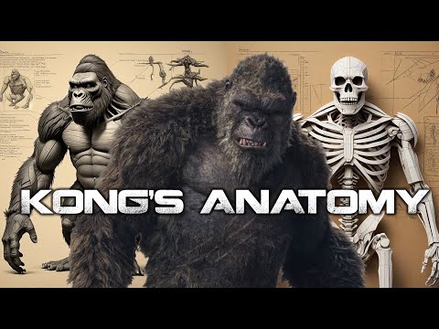 The Biology of Kong Fully Explained + pp size estimate