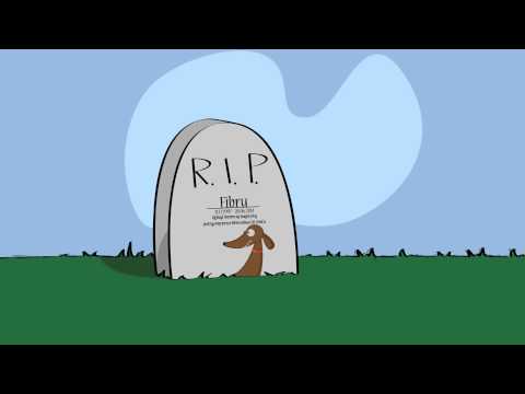 Raski RTCK - Obsrana parówa (Diss Fibru)