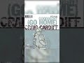 Bird Down - Craig Cardiff