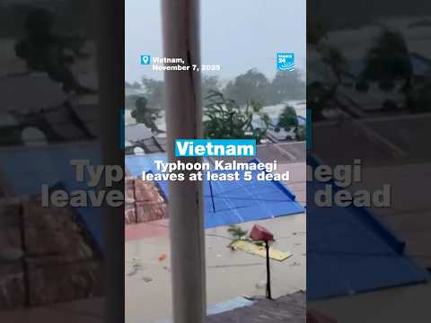 Vietnam: Typhoon Kalmaegi leaves at least 5 dead • FRANCE 24 English