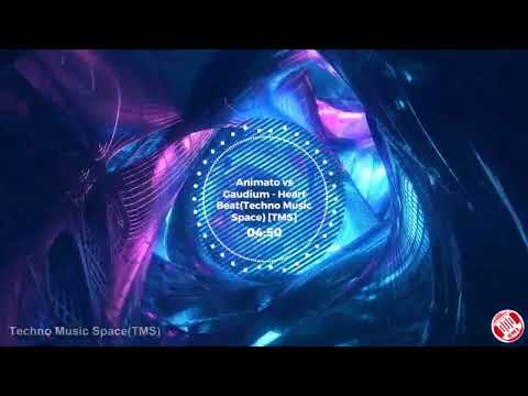 Animato vs Gaudium - Heart Beat  Music Visualizer: Glowing Tunnel [Techno Music Space](TMS)