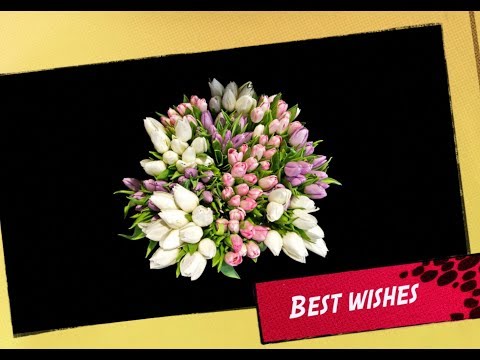 Rasika Wishes - Part - 2