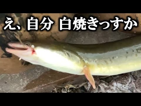 La anguila salvaje que comí anteayer estaba deliciosa, así que intentaré pescar anguila y asarla.