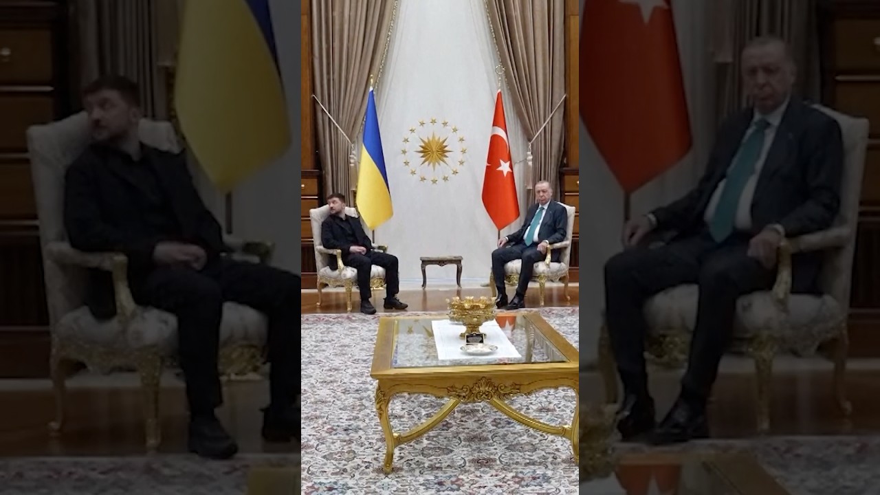 Zelenskiy, Erdogan Meet for Peace Talks in Turkey