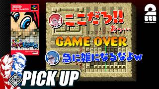 【マリオのスーパーピクロス】パズルが苦手な弟者に呆れる兄者先生【ピックアップ】