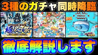 3種のガチャ同時降臨！極ネコ祭に水着ガチャに魚！徹底解説します！　#にゃんこ大戦争　【オレンジチャンネル】