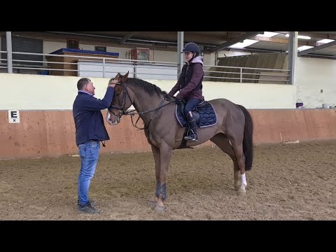 Malu (12) und Zappa - Lehrgang beim Landestrainer in Elz am 15./16.01.2022
