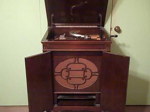 JULES HERBUVEAUX FRANK SYLVANO - YOU DON'T LIKE IT--NOT MUCH - ROARING 20'S BRUNSWICK SEVILLE