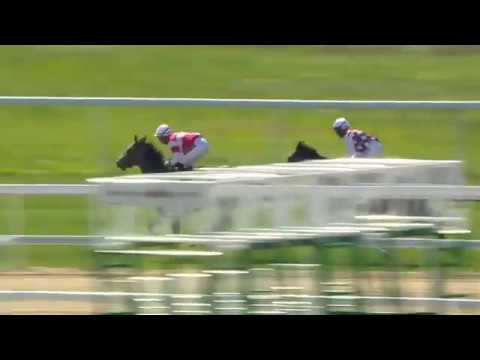 2020.06.14 Stockholms Stora Pris (SWE) - Kick On