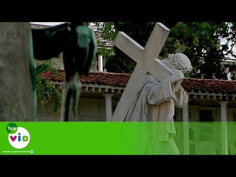 Qué es la Muerte- Tele VID