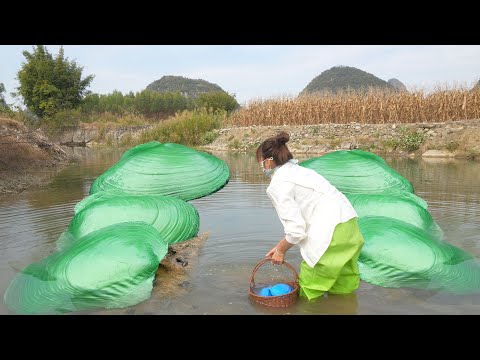 Young Treasure Hunter’s Score: Mutant Giant Clam, Cracked Open to Reveal a Gem