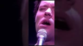 Rufus Wainwright - Zing! Went The Strings Of My Heart
