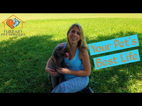Furbaby Pet Services video.