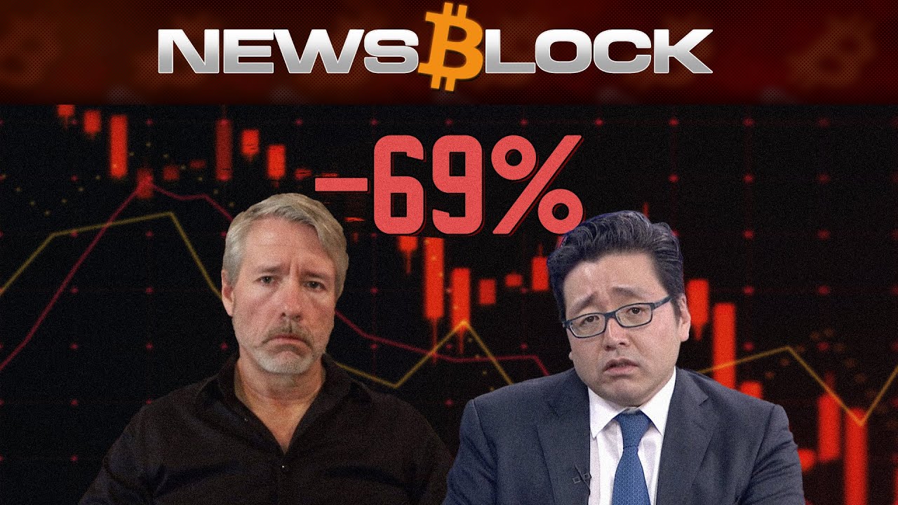 Крипто-Якорь Для Рынка: Как DAT’ы Превращаются в Черных Лебедей