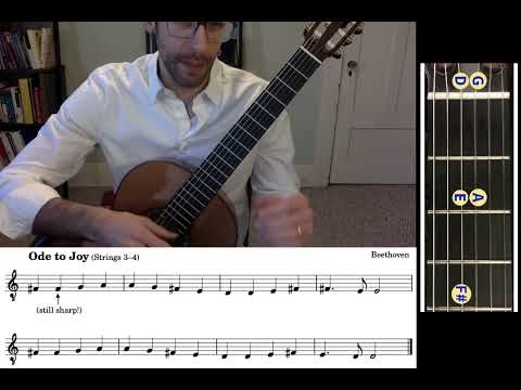 How to Read Music on Guitar (the basics!)