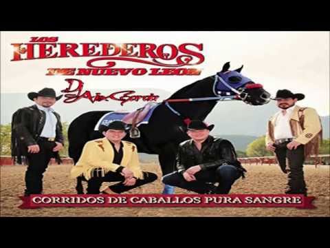 Corridos De Caballos Pura Sangre Los Herederos De Nuevo Leon CD Mix 2015