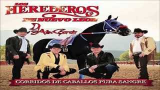 Corridos De Caballos Pura Sangre Los Herederos De Nuevo Leon CD Mix 2015