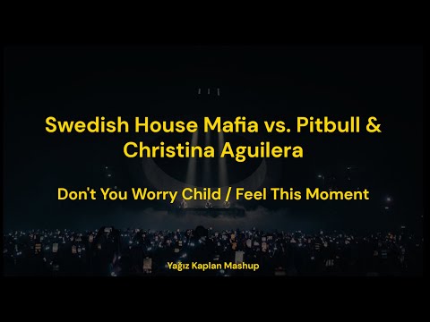 Swedish House Mafia vs. Pitbull & Christina Aguilera - DYWC x Feel This Moment (Yağız Kaplan Mashup)