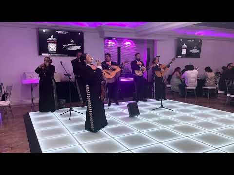 Promotional video thumbnail 3 for Mariachi Bohemio