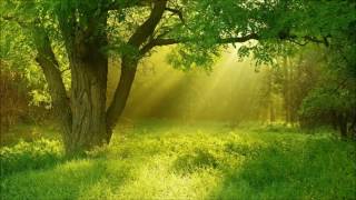 John Stone - Fable