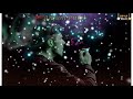 बेवफाई करना मजा बन गया है Anjum Patel Sad Shayari Status 202