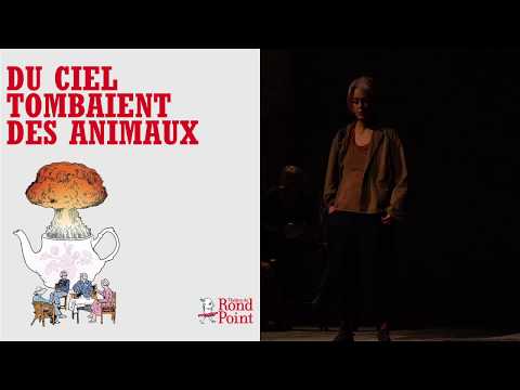 Du ciel tombaient des animaux 